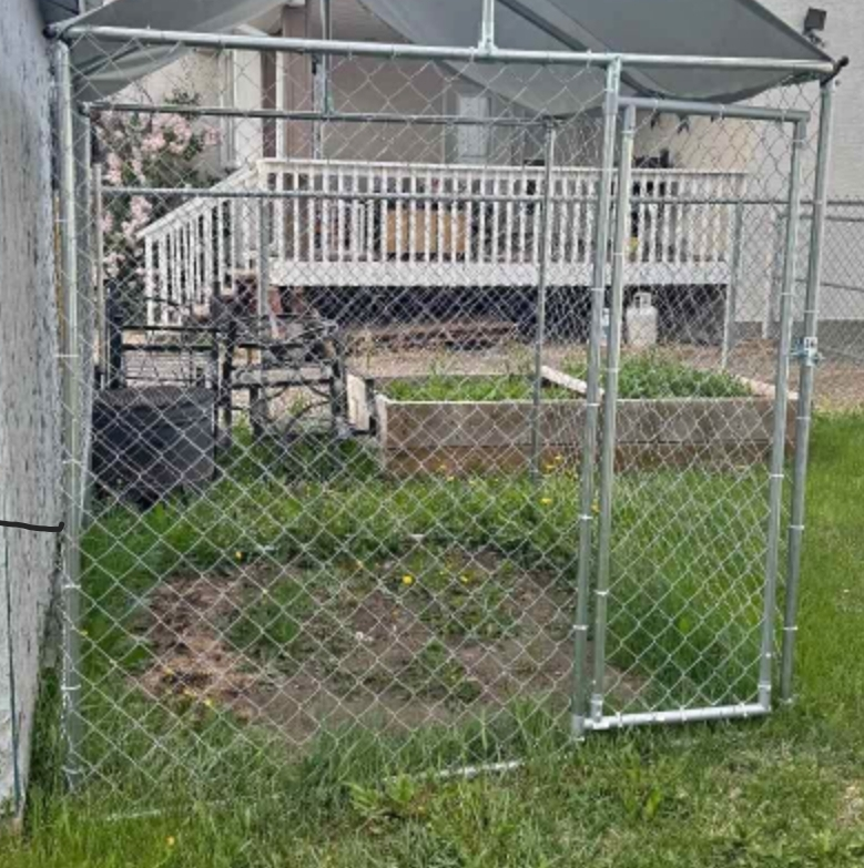 Dog Kennel Chain Link