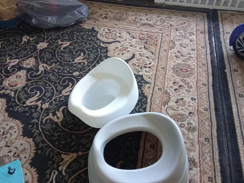 potty training for toddlers image indicator(4)