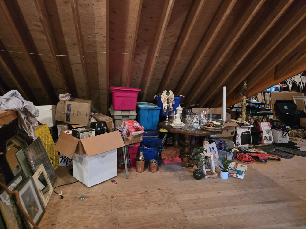 HUGE HOUSE AND GARAGE SALE - Sat and Sun June 8, 14, 15 etc - photo 4