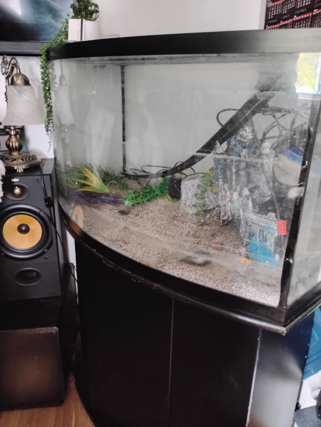 Curved Aquarium with Stand