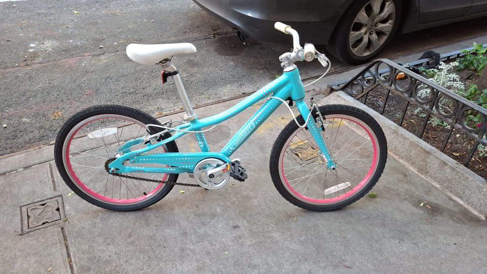 Guardian 20-inch Kids Bike Teal - photo 3