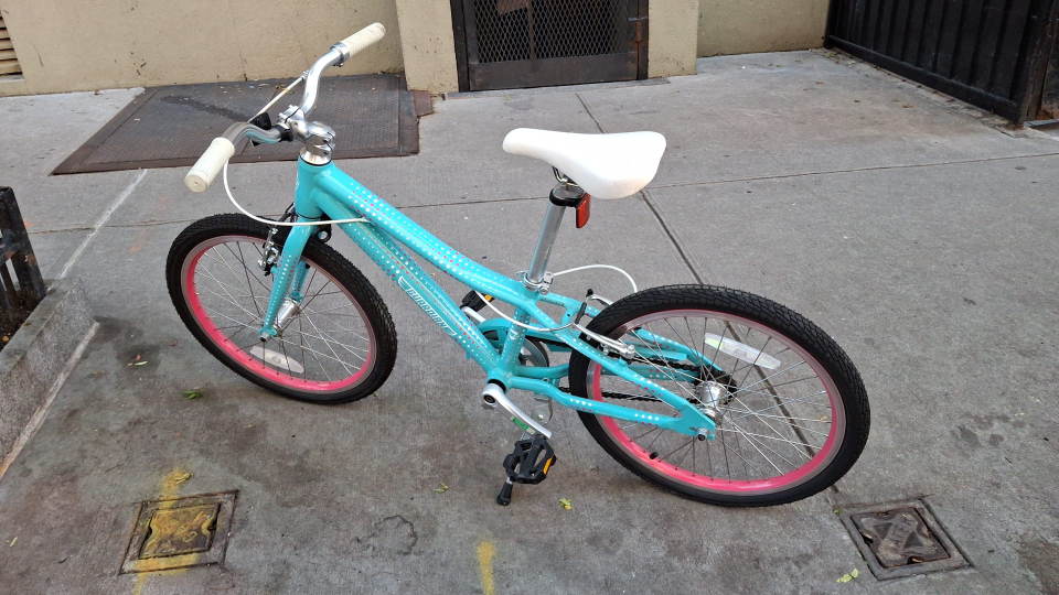 Guardian 20-inch Kids Bike Teal - photo 4