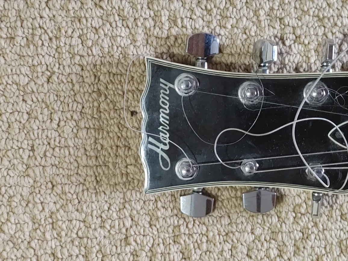 electric guitar image indicator(2)