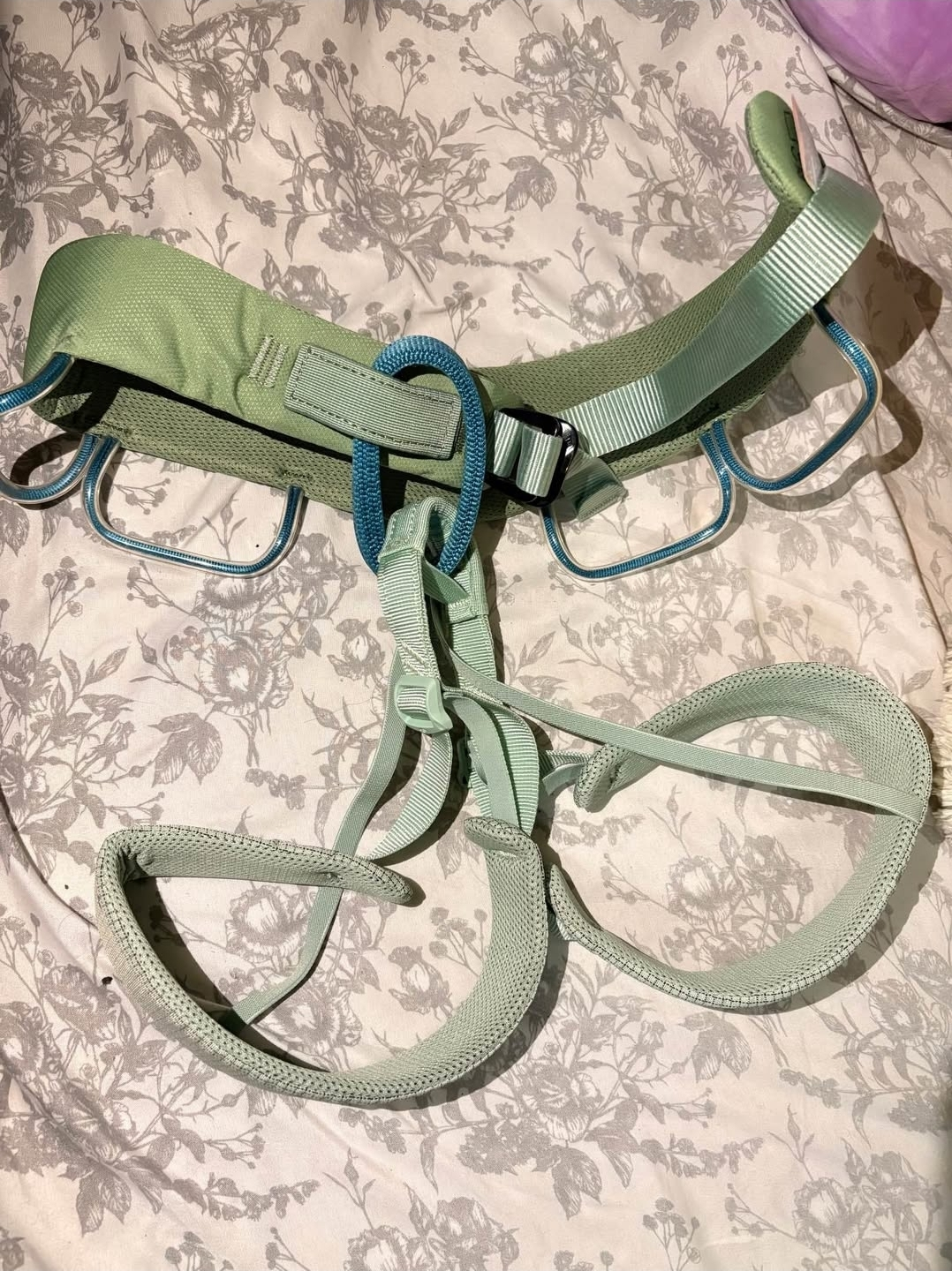 Climbing Harness