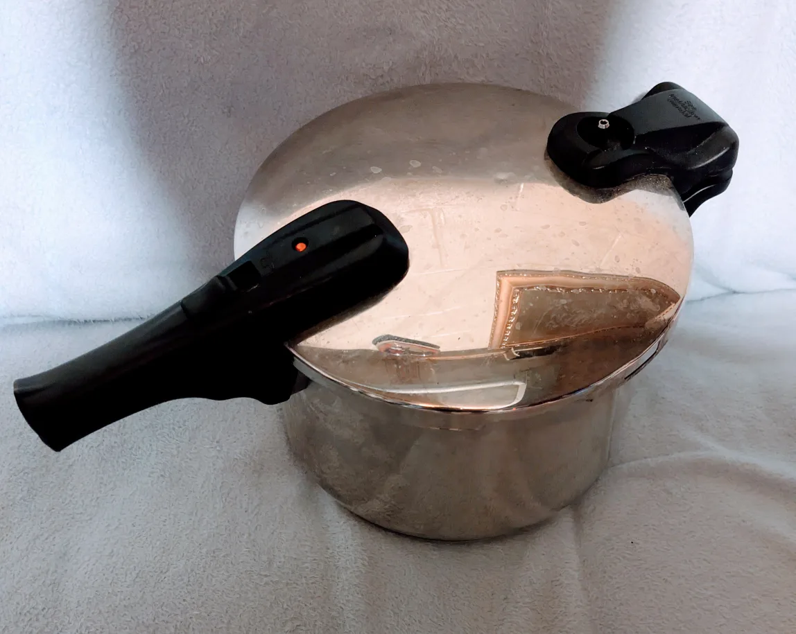 Stainless Steel Pressure Cooker thumbnail
