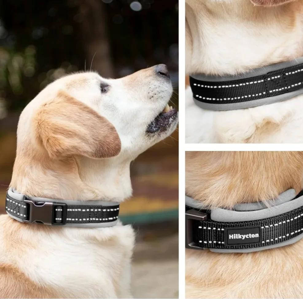 Dog Collar - Size S image indicator(4)