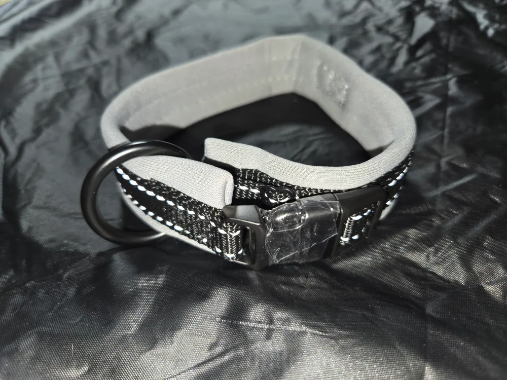 Dog Collar - Size S image indicator(5)