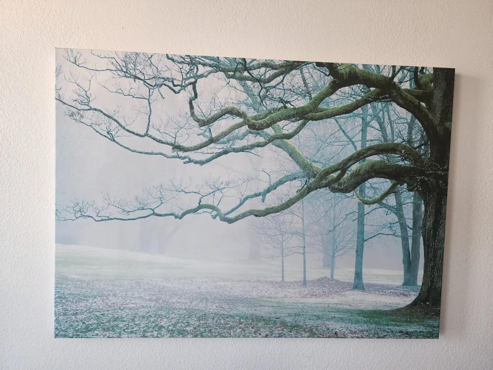Set of Two Wall Canvas Prints thumbnail