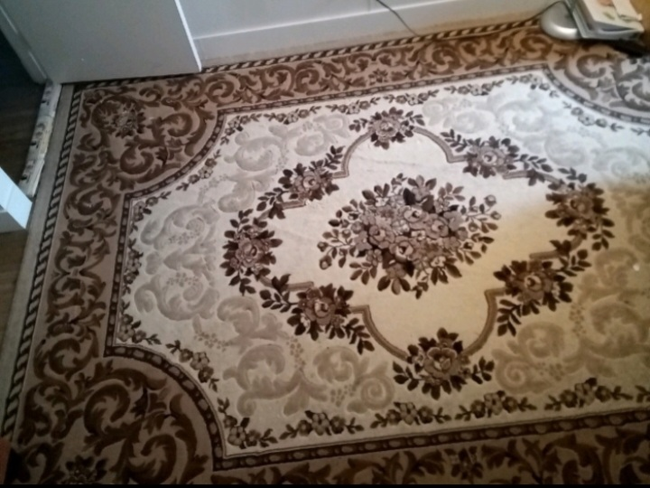 Floral Patterned Area Rug