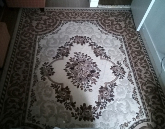 Floral Patterned Area Rug - photo 2