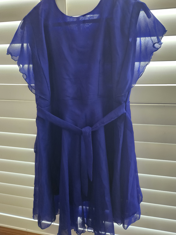 Blue Dress - photo 4