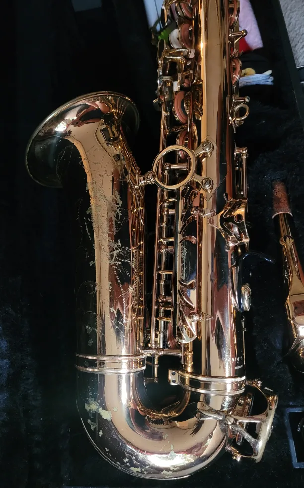 Antigua Winds Student Alto Saxophone image indicator(3)