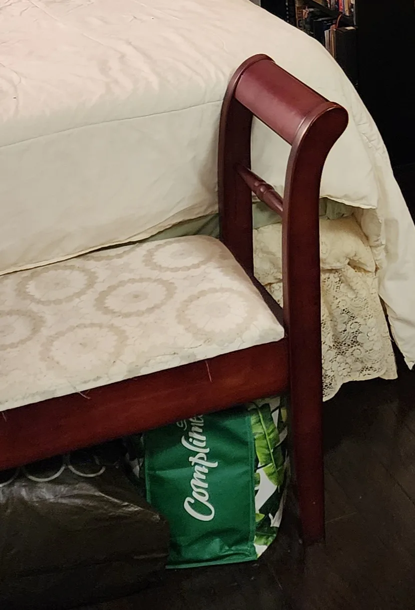 🥕 Elegant Storage Bench 💚 image indicator(3)