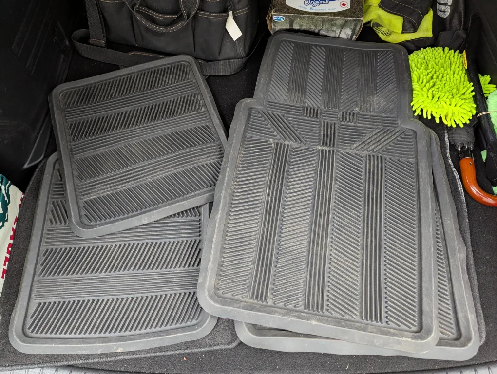 Set of Car Floor Mats 🇨🇦