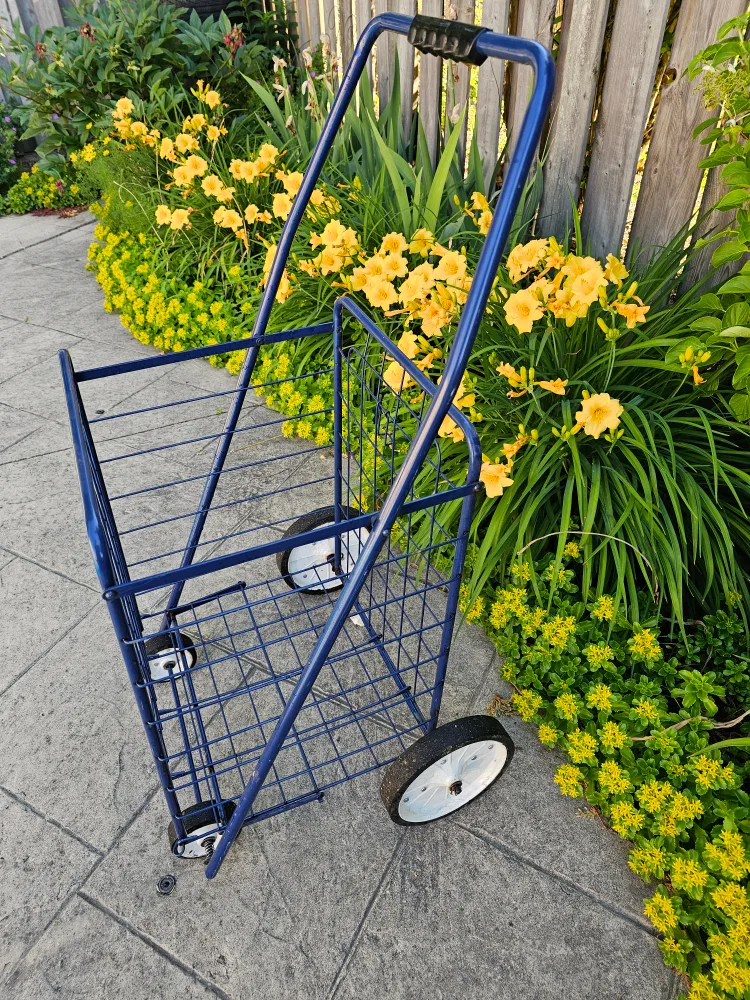 Blue Folding Shopping Cart thumbnail