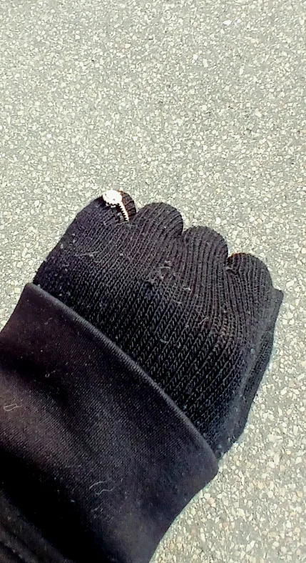 GRA VVS1 silver Ring image indicator(6)