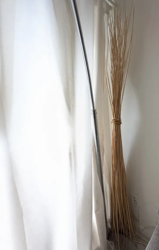Decorative dried stems thumbnail