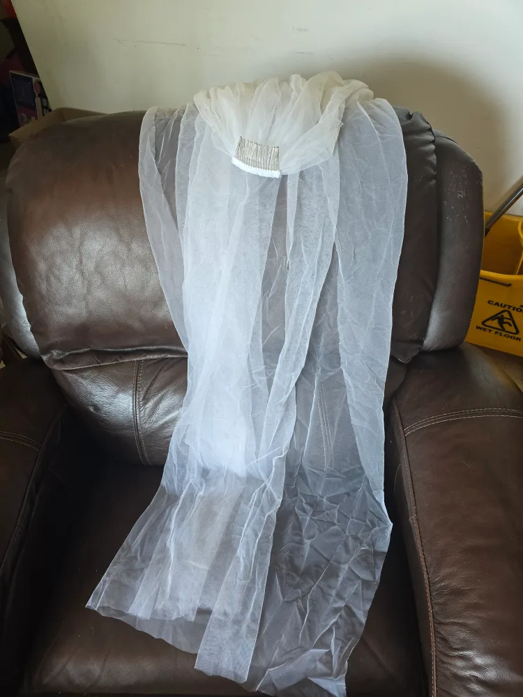 Wedding Veil and wedding gown image indicator(3)