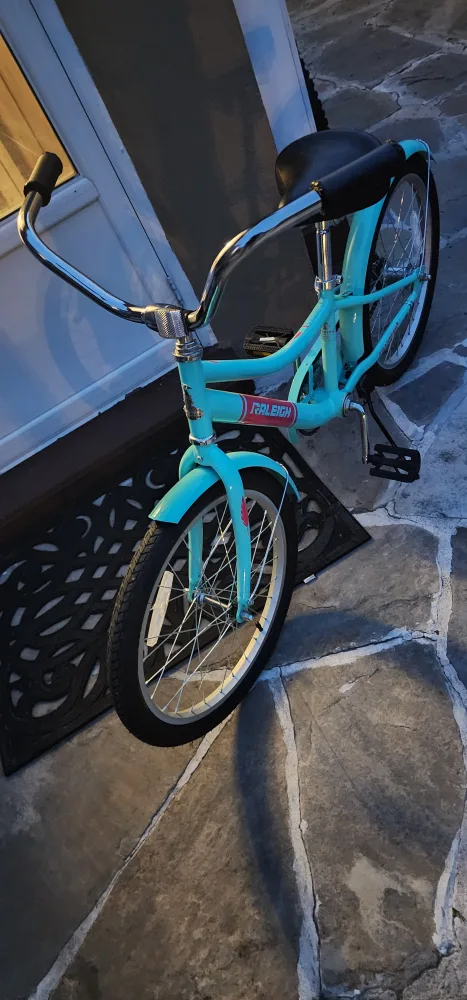 Raleigh Children's Bike image indicator(2)