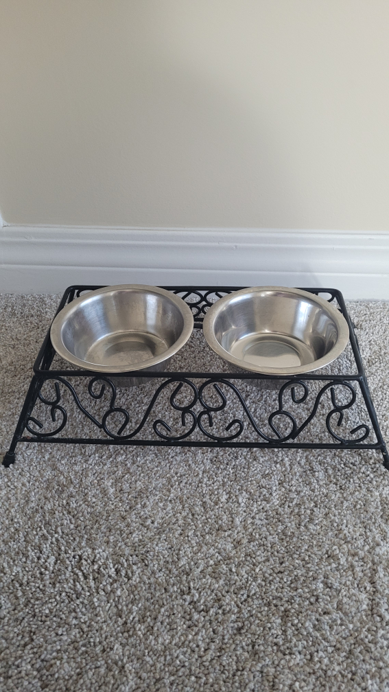 Wrought Iron Elevated Pet Bowl Set