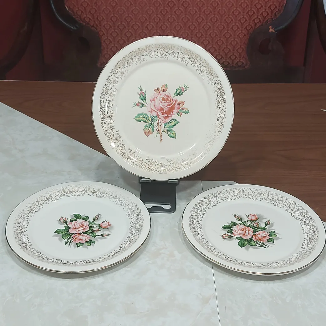 vintage rose pattern plates 🫖 trades accepted! thumbnail