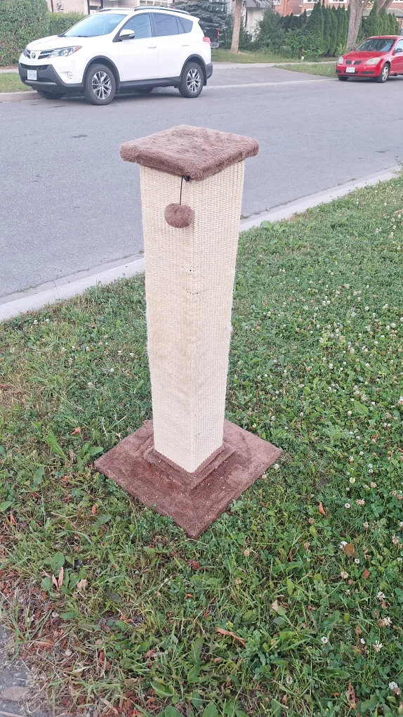 Cat Scratching Post thumbnail