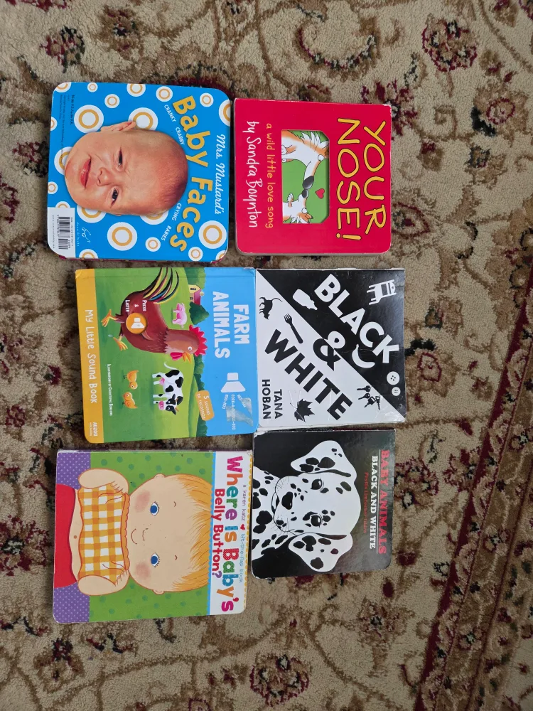 Baby Books Lot: Boynton, Hoban, Katz & More thumbnail