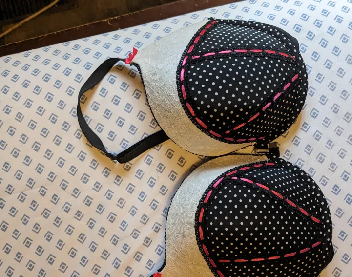 Polka Dot Bra thumbnail