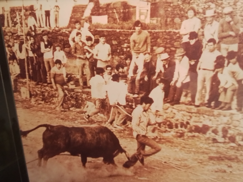 Vintage Photo "Running of the Bulls Pamplona Spain" - photo 5