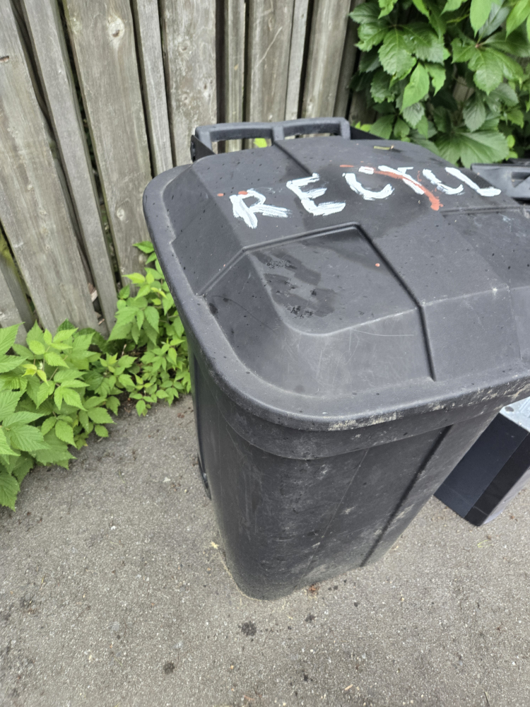 Recycling Bin