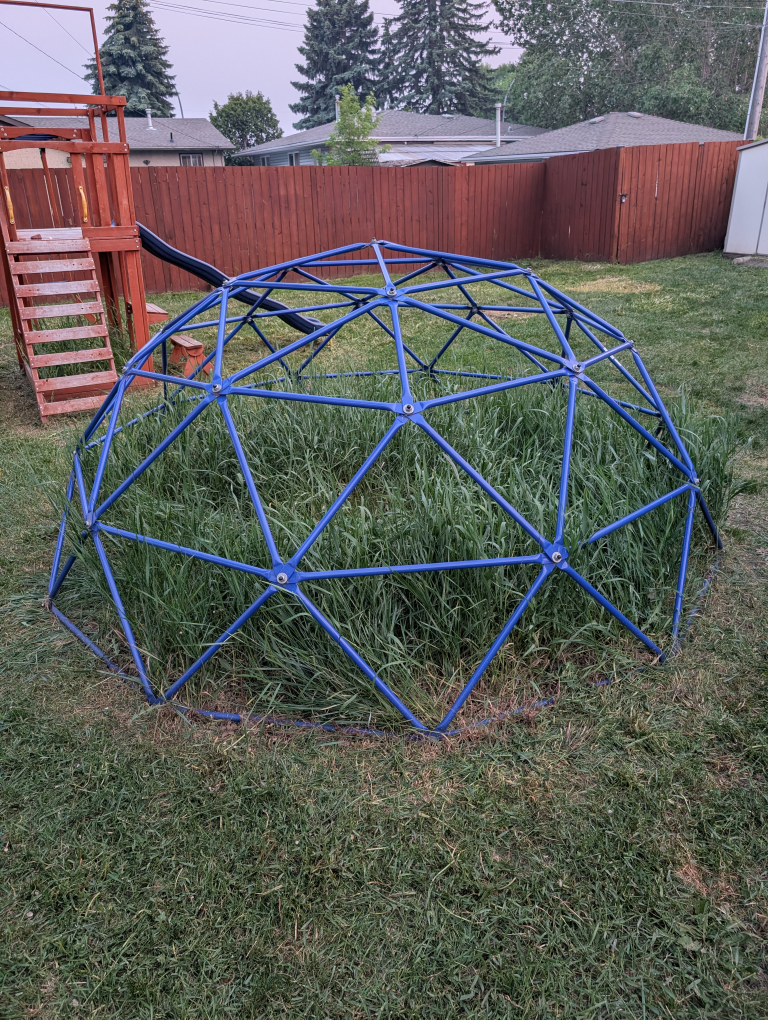 Blue Geometric Dome Climber