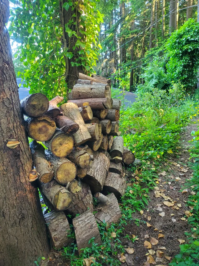 free firewood image indicator(2)