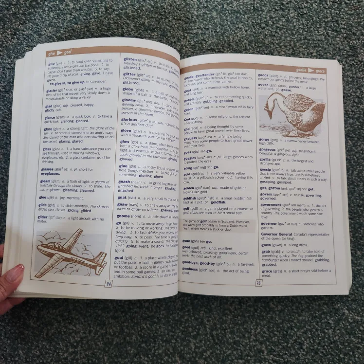 Young Canada Dictionary 💚 image indicator(2)