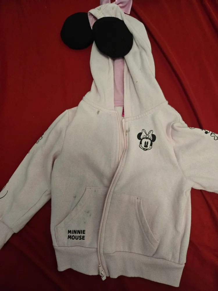 Minnie Mouse Pink Hoodie. #freecycle thumbnail