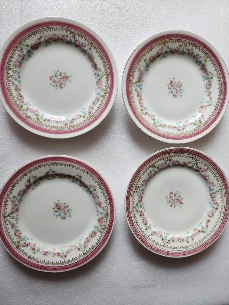 PLATES image indicator(4)