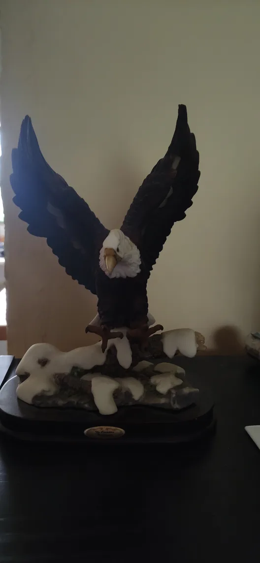 Canadian wilderness bald eagle image indicator(2)