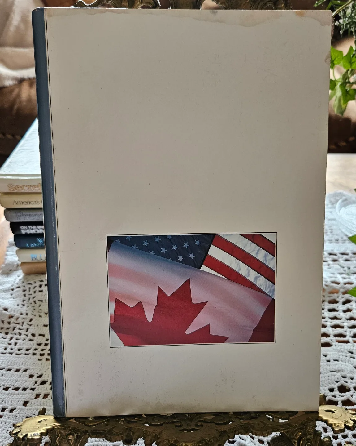 Lakes, Peaks, and Prairies Vintage Book 📖 thumbnail