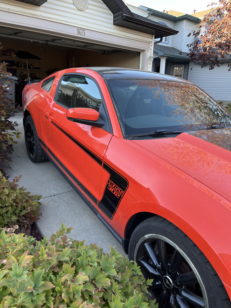 Ford Mustang Boss 302 - photo 5