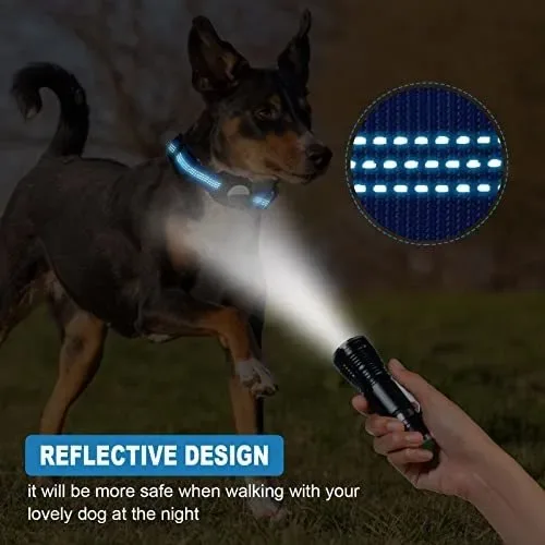 Dog Collar with AirTag Holder - Blue - Size L image indicator(6)