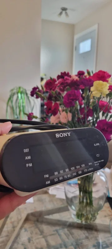 Sony Alarm Clock #freecycle thumbnail