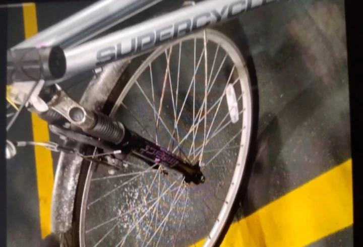 Supercycle Hybrid Bicycle - photo 4