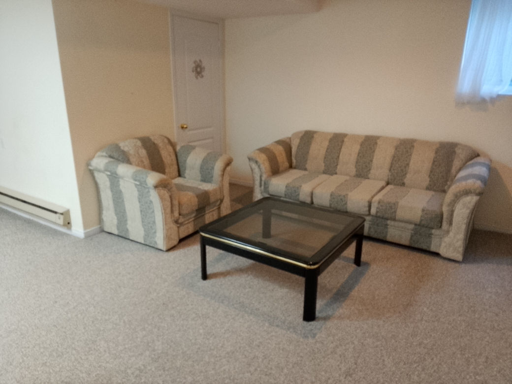 Cozy 2-Piece Family Sofa Set with Table