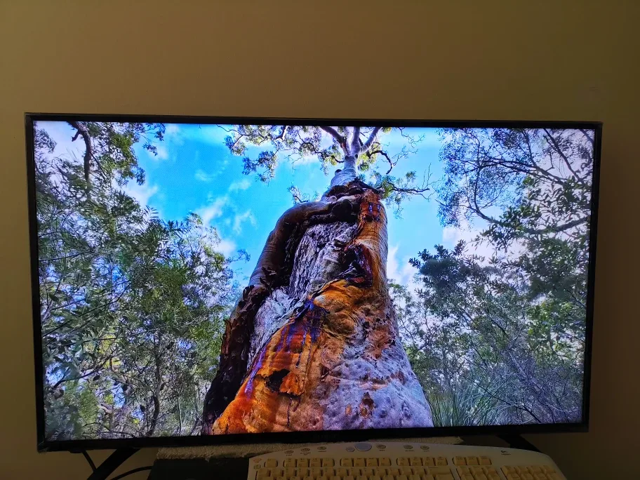 Sharp Roku TV 43" 4K UHD image indicator(4)