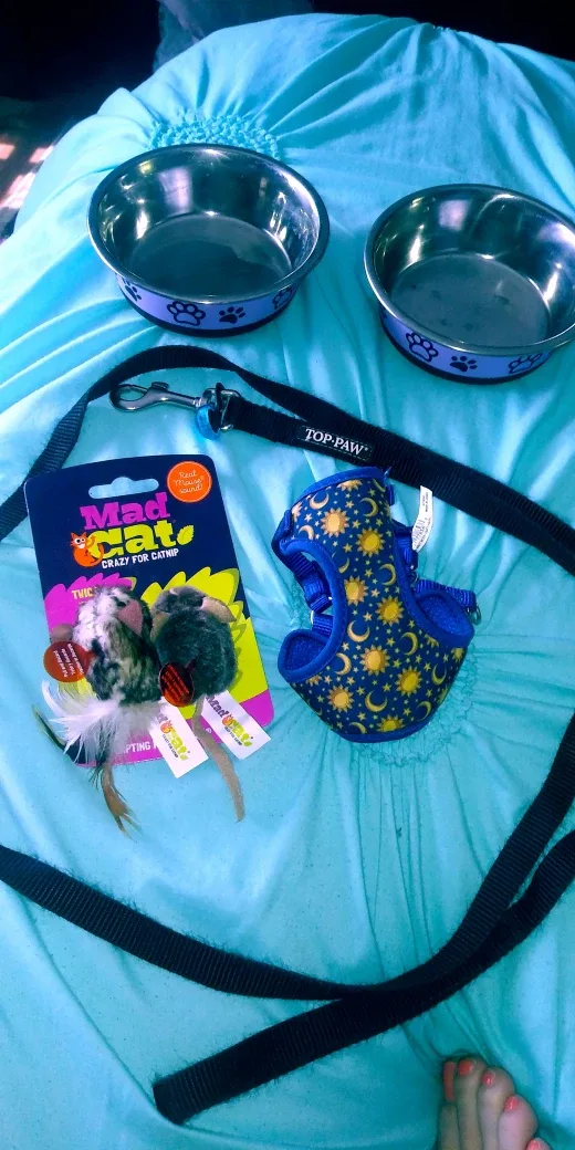 Cat Accessories Set thumbnail