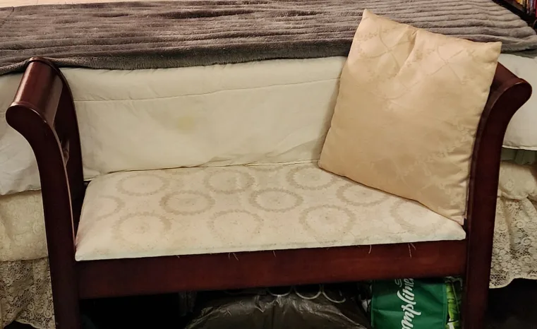 🥕 Elegant Storage Bench 💚 image indicator(2)