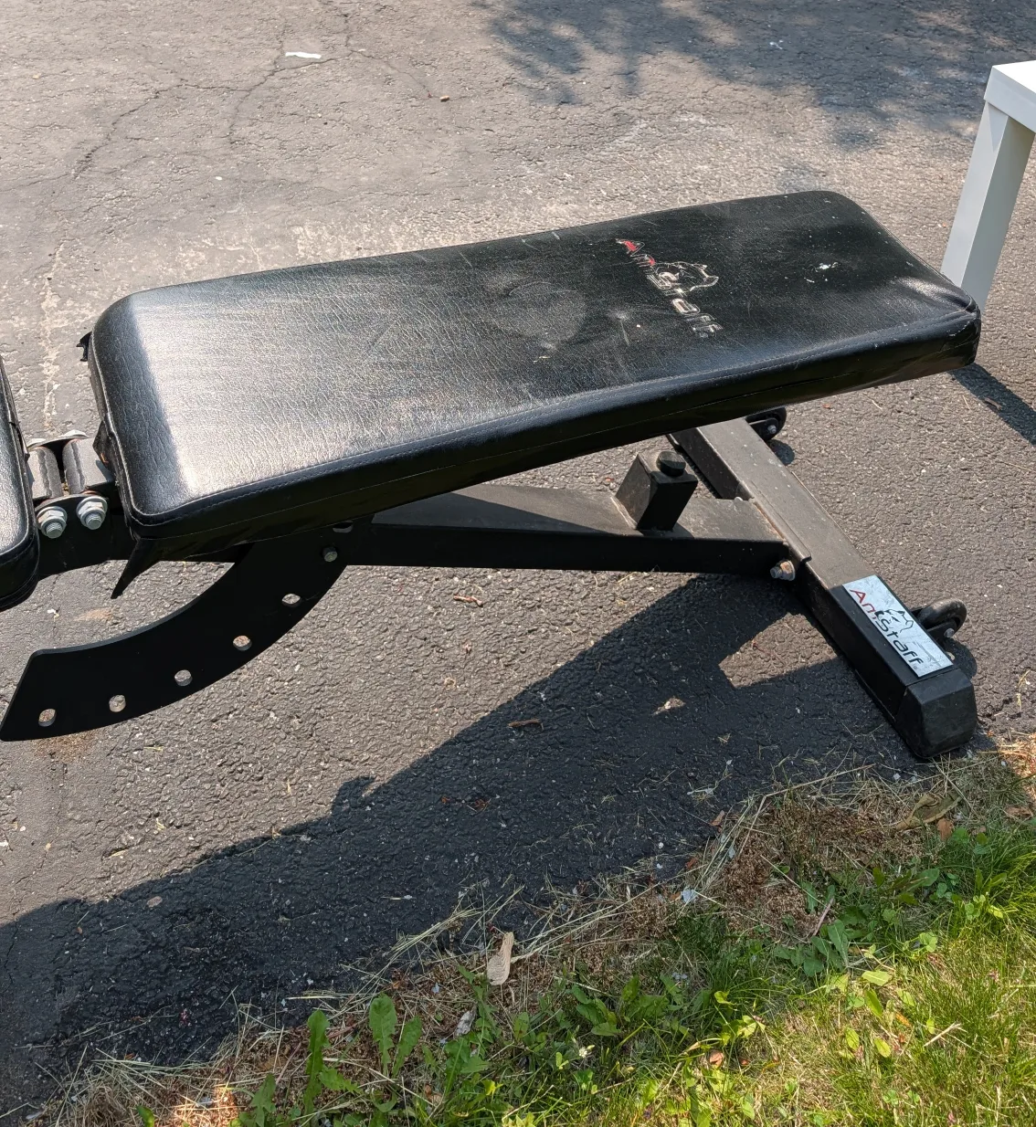 ���💚Adjustable Weight workout Bench🥕 image indicator(3)