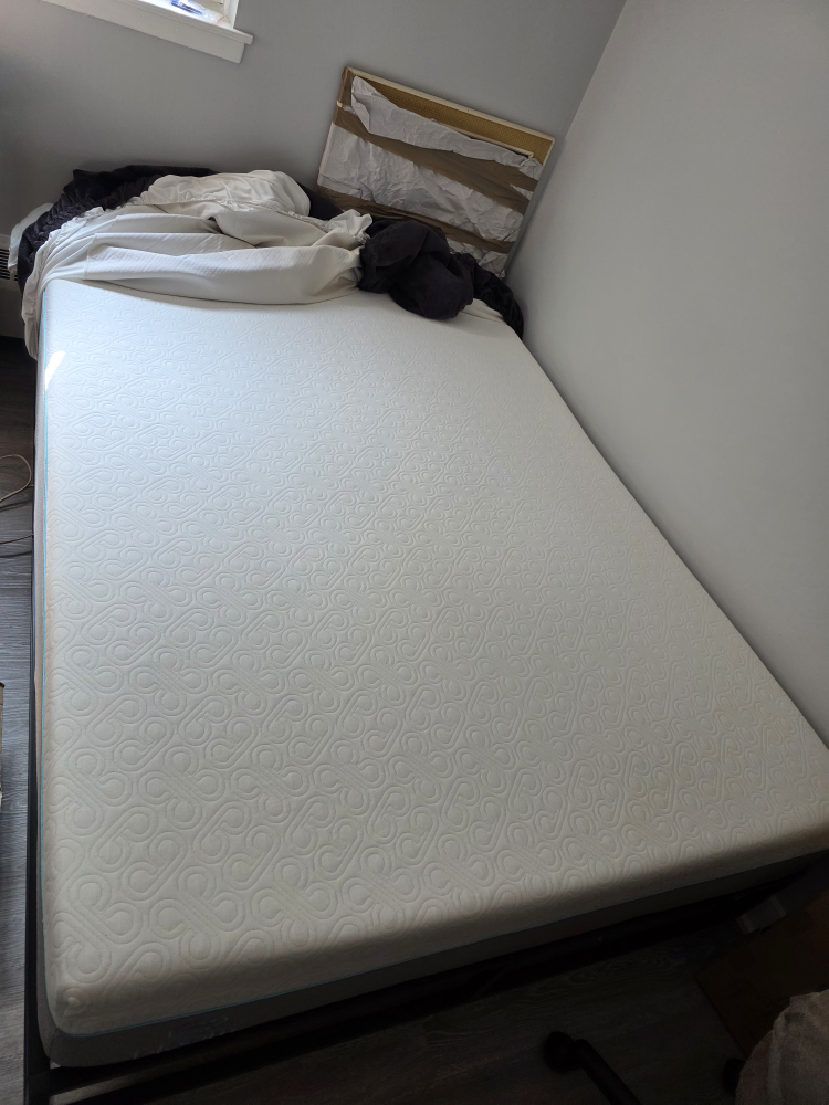 Bloom Mattress w/Black Metal Bed Frame (Queen)