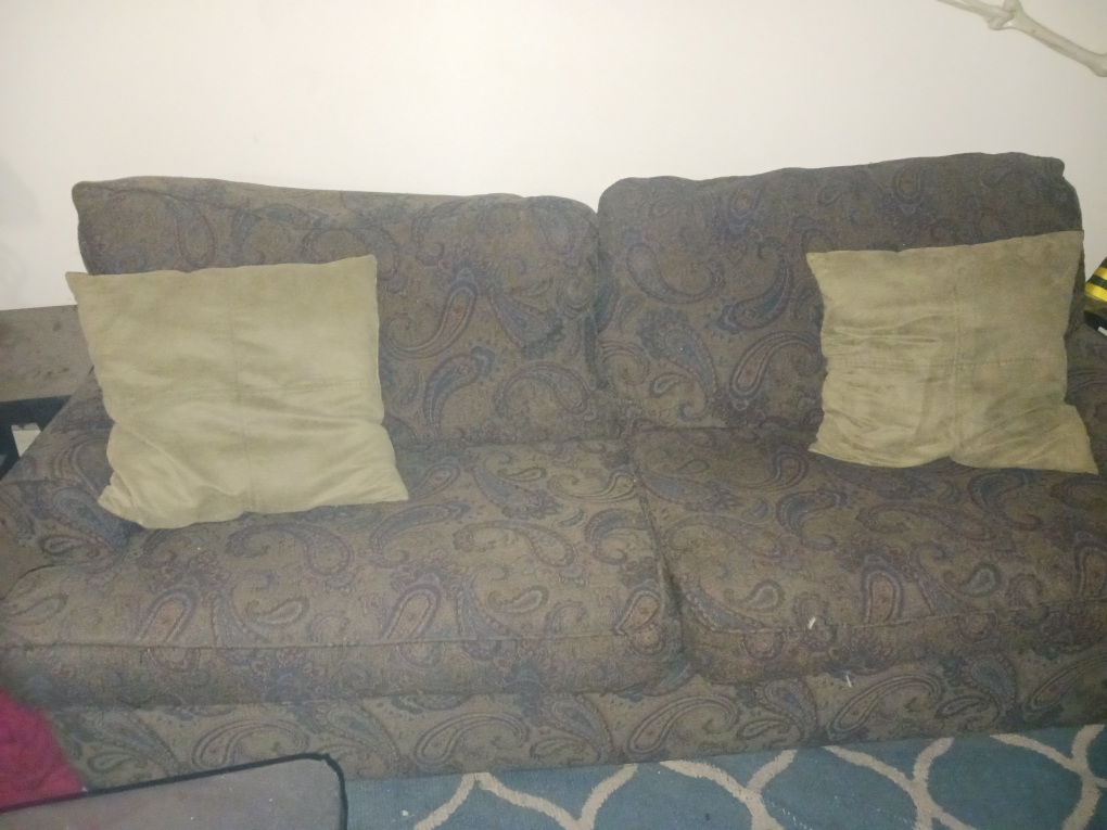 #Sale-Vintage Paisley Pattern Sofa with Pillows:Sleeper Pull Out