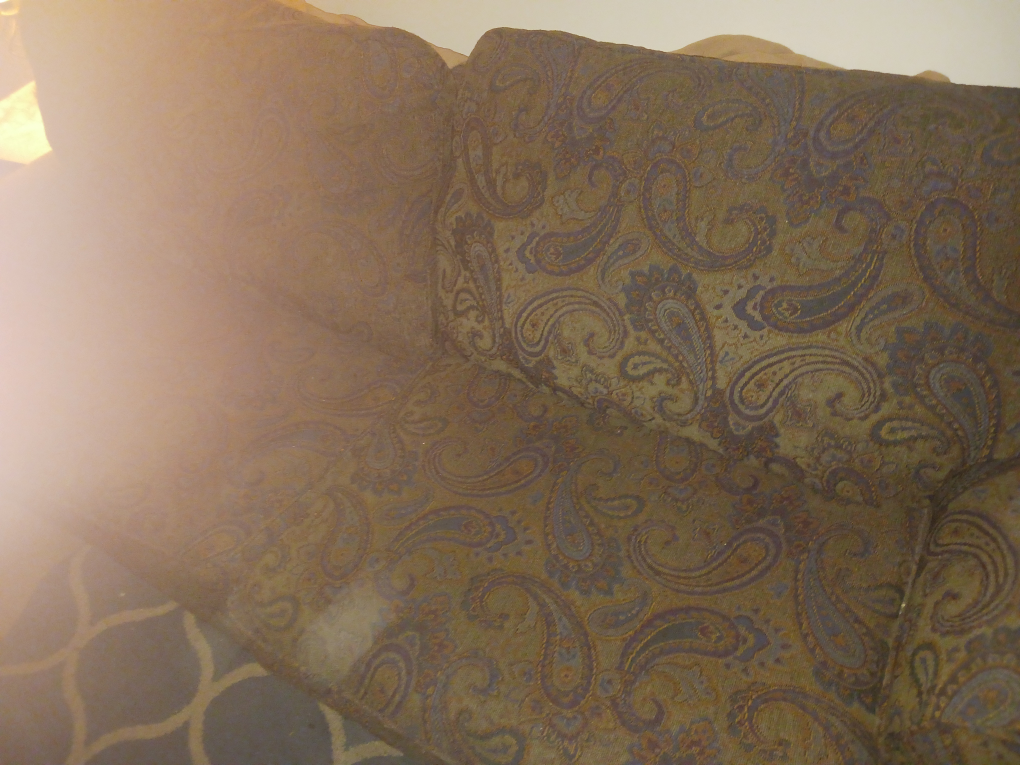 #Sale-Vintage Paisley Pattern Sofa with Pillows:Sleeper Pull Out - photo 3