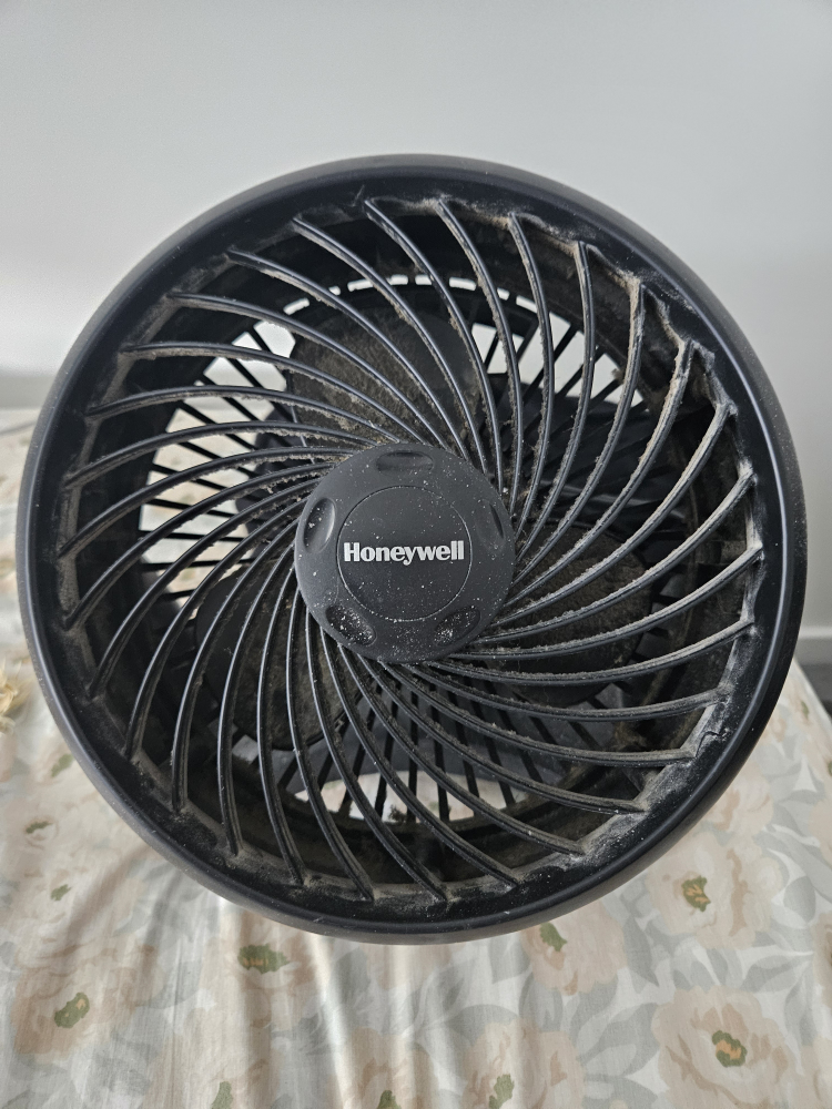 Honeywell Black Fan